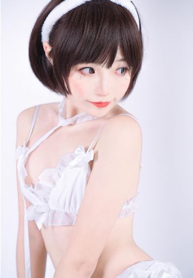 大象一区四叶草_手机免费观看