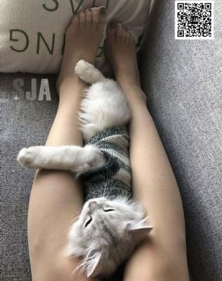 宝马x3进口和国产哪个更值得购买_剧情片在线观看视频